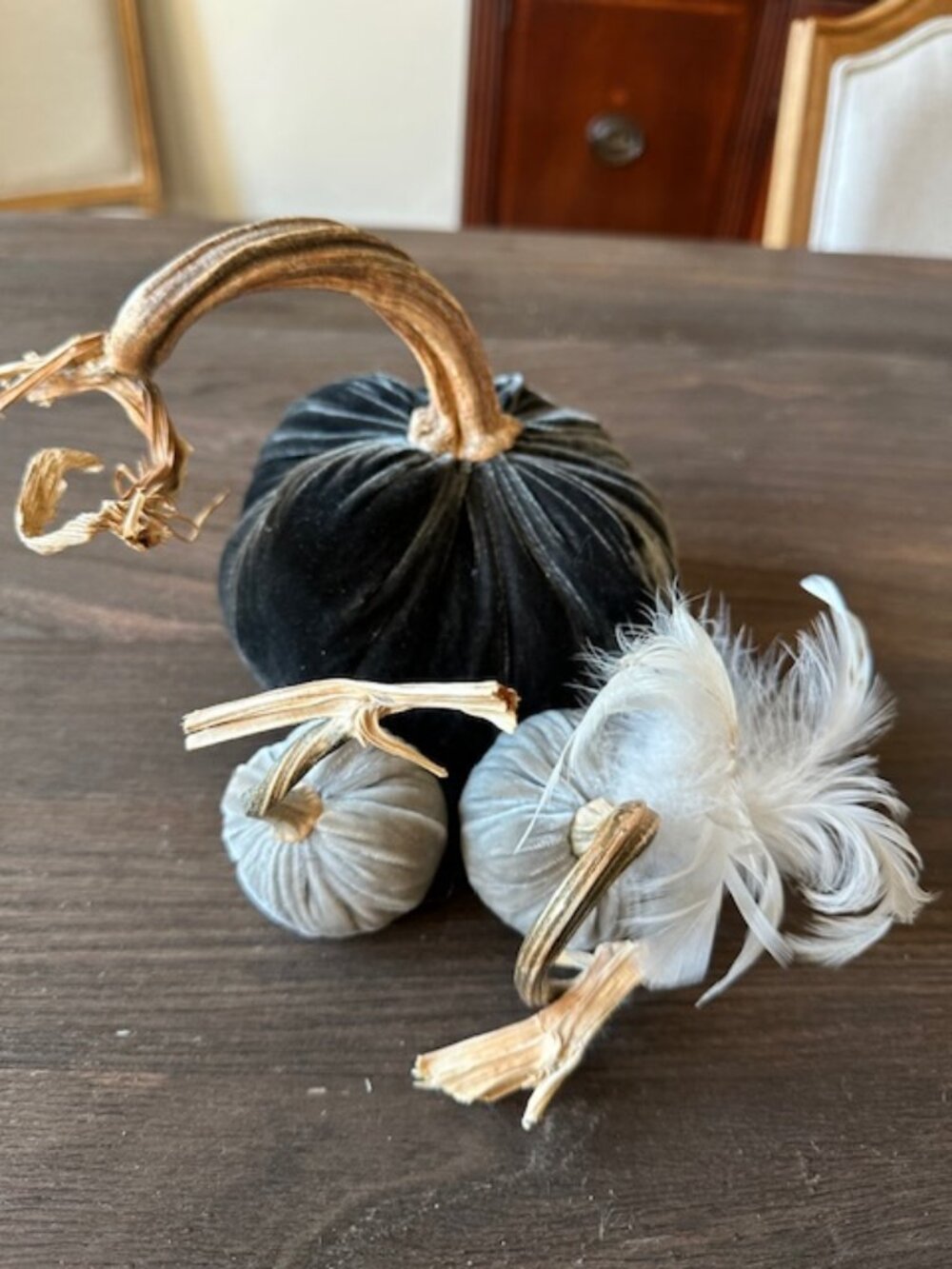 Hot Skwash Velvet Pumpkins